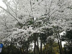 -楼外楼(玉泉店)