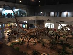 -自贡恐龙博物馆