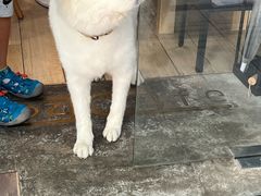 -OZ cafe(南昌路店)