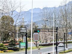 -宝荣鱼馆·临湖之宴(千岛湖店)