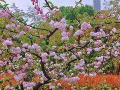 -江南大学(蠡湖校区)