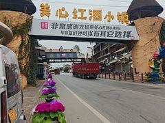 -美心红酒小镇游乐园
