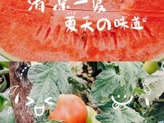 -庞各庄翠芳园西瓜蔬菜基地采摘园