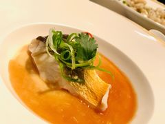 东星斑清蒸-金轩中餐厅 Jin Xuan(浦东丽思卡尔顿酒店)