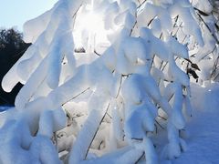 -中旅松花湖滑雪场