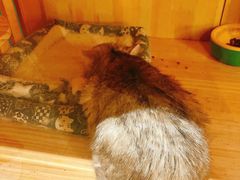 -樹下遇见树·咖啡