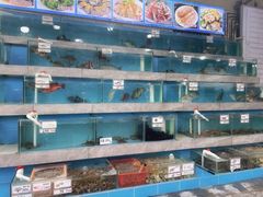 -考记泥焗鸡农庄·海鲜(北洛秘境店)