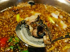 梭边鱼-大河宴椒麻鱼(嘉和园店)