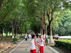 -合肥野生动物园