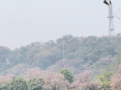 -潮州西湖