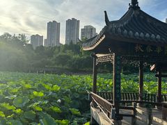 -龙头寺公园