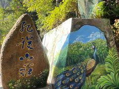 -西双版纳原始森林公园
