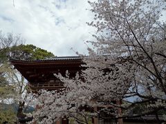 -醍醐寺