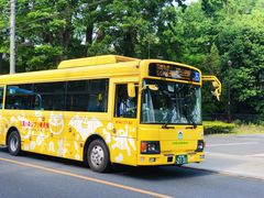 -三鹰之森吉卜力美术馆