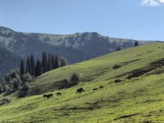 -新疆那拉提国家旅游度假区