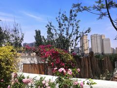 -悦哉·派对·草坪婚礼·围炉煮茶(三圣乡店)