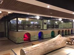 -盛彼得温泉度假酒店