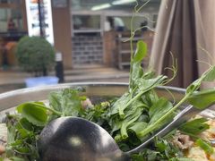 -夜不收荤豆花(大邑总店)