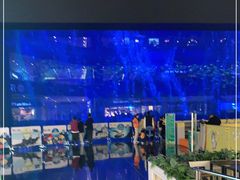 -成都浩海立方海洋公园