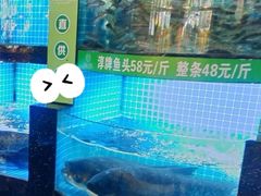 -千岛湖小鱼儿·淳安匠心农家菜