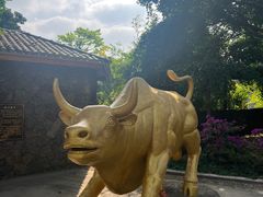 -海口火山口国家地质公园