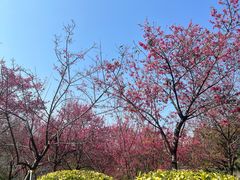 -河源客家文化公园
