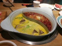 -青瓷火锅料理(西单大悦城店)
