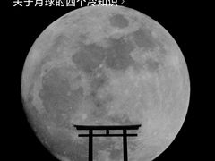 -比尔森韩式烤肉自助(国商店)