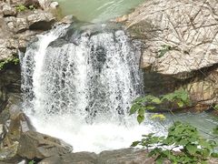 -广州白江湖森林公园