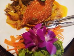 咖喱蟹-Daddy Nimman Chiang Mai