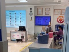 -北京观赏动物医院·24小时大型综合·猫专科·异宠专科