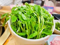 -四喜小胖·北京涮肉(五道营店)