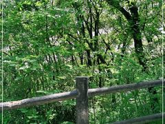 -苏州上方山国家森林公园