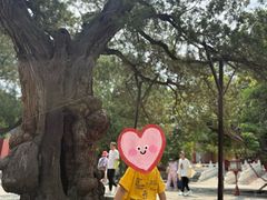 -北京国子监胡同