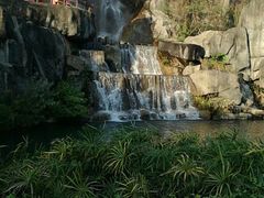 景点-金鸡山公园