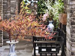 -陈麻婆豆腐(旗舰店)