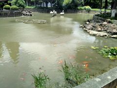 android_upload_pic-中共上海市委党校 上海行政学院