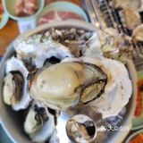 实现生蚝自由了，冲鸭🏄‍♂️ 
