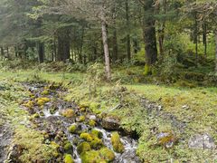 -硗碛藏寨·神木垒景区