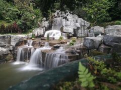 -深圳仙湖植物园-停车场