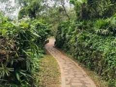 -白沙门生态公园