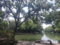 -西溪国家湿地公园