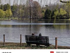 -上海共青森林公园