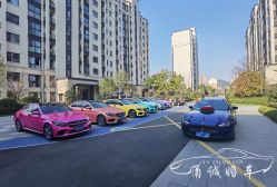 -宁波甬诚婚车(新典路店)