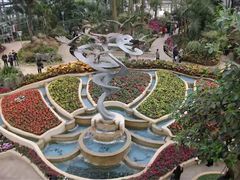 -南山植物园