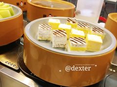 -龍歌自助小火锅(李沧丽达店)