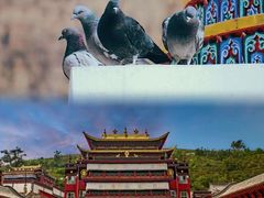 -塔尔寺
