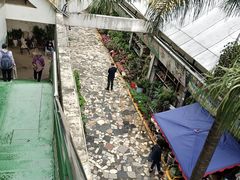-福田农产品批发市场有限公司蔬菜交易区