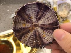 -HIHE Bistro·Oyster Bar(华熙live店)