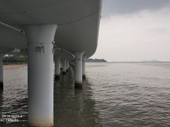 -演武大桥观景平台